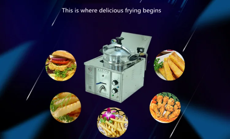 Commercial Small Luxury Fryer Electric Deep Fryer  MDXZ-16