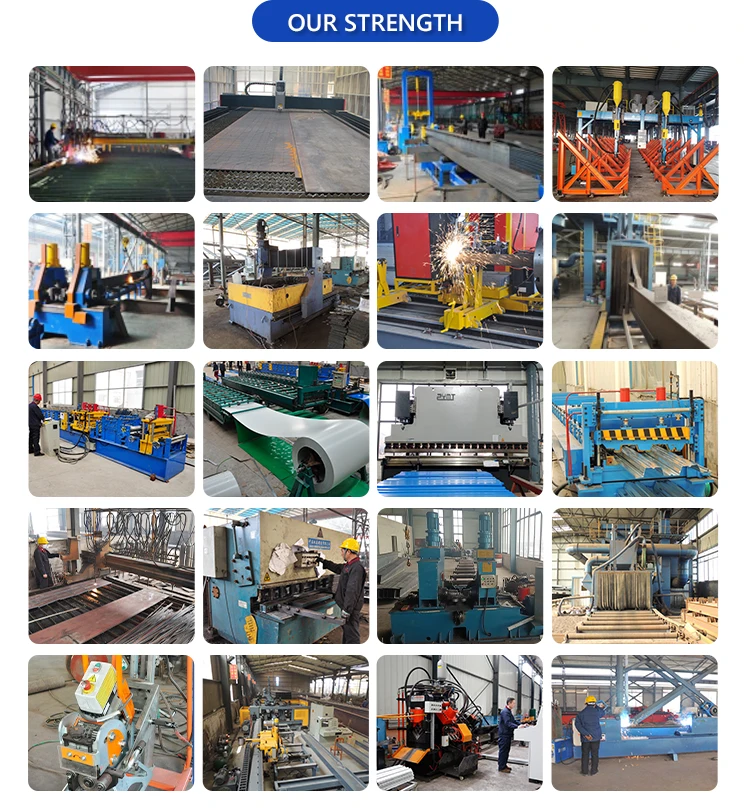 Paint or hot dip galvanize professional light steel structure construction villa building design