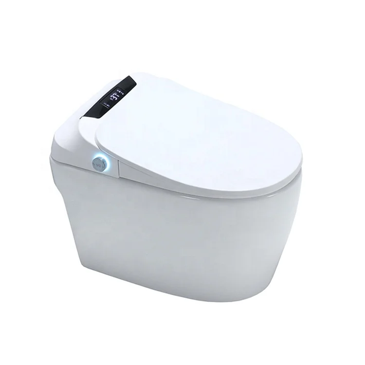 SALA Good Quality Hot Sale Intelligent Pregnant Women WC Connection Smart Automatic Toilet