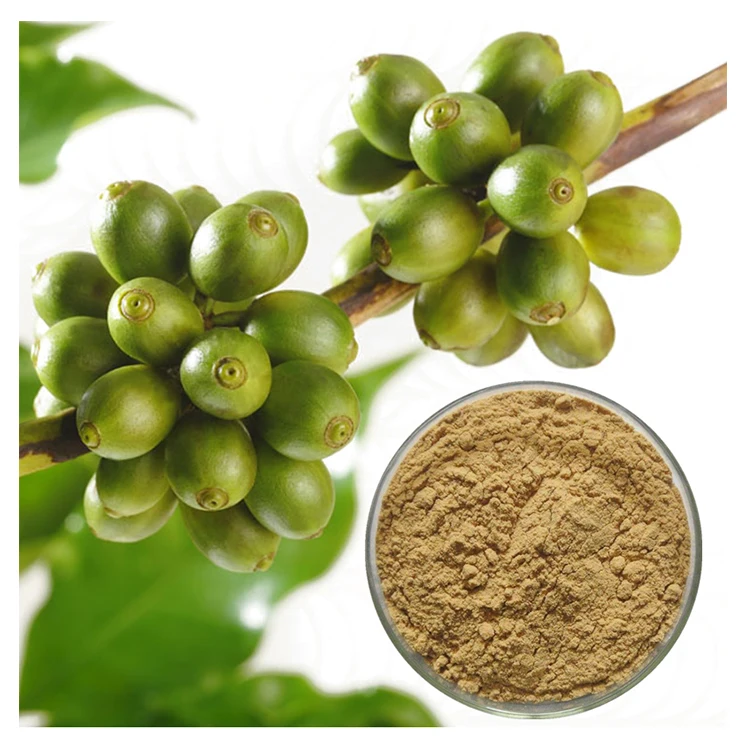
Natural Raw Material Green Coffee Beans Extract Powder Benefit to Kidney 