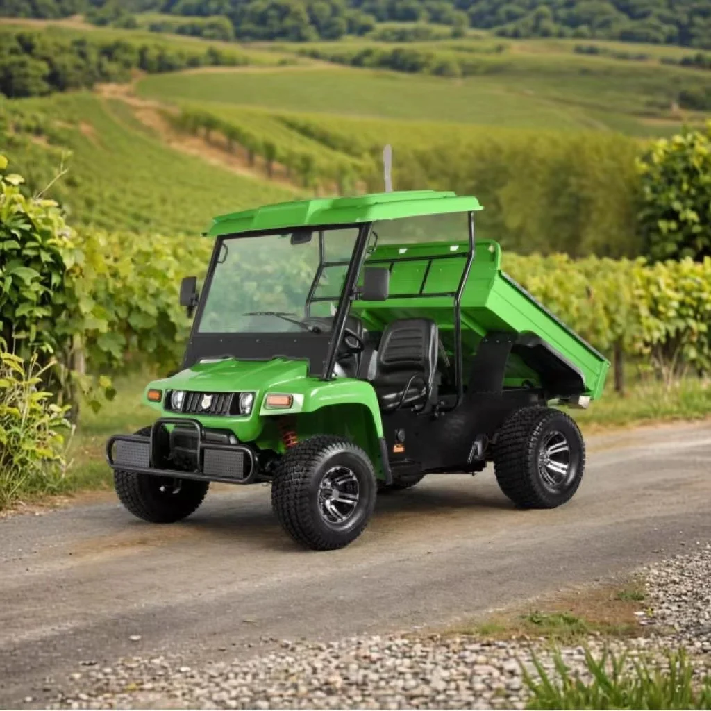 Buggy vehicle  utv farm vehicle  electric golf course