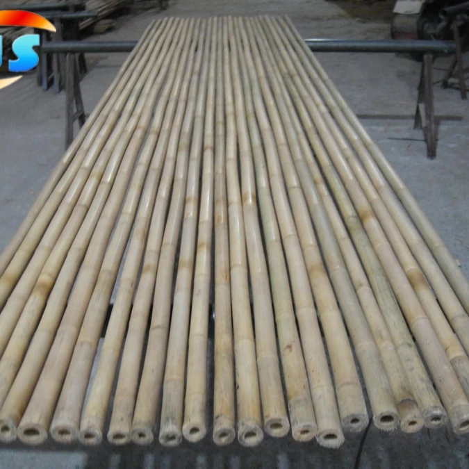 Support tree nurseries growing  of bamboo cane 305CM 28-30MM