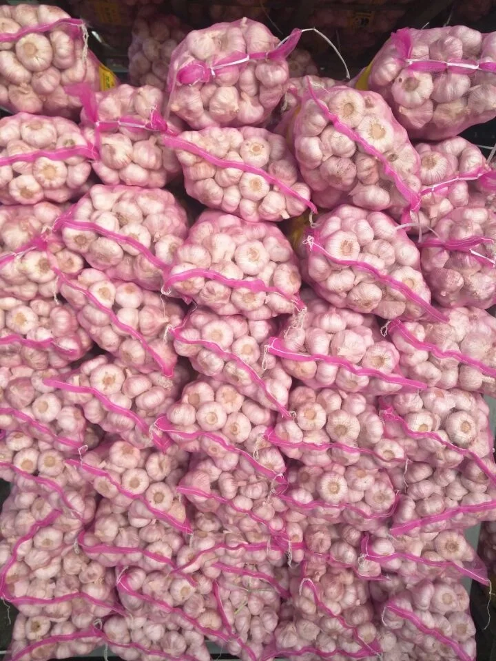 Экспортные Семена Чеснока Tianqin для посадки и 2024 нового урожая один зубчик Черного по низкой цене