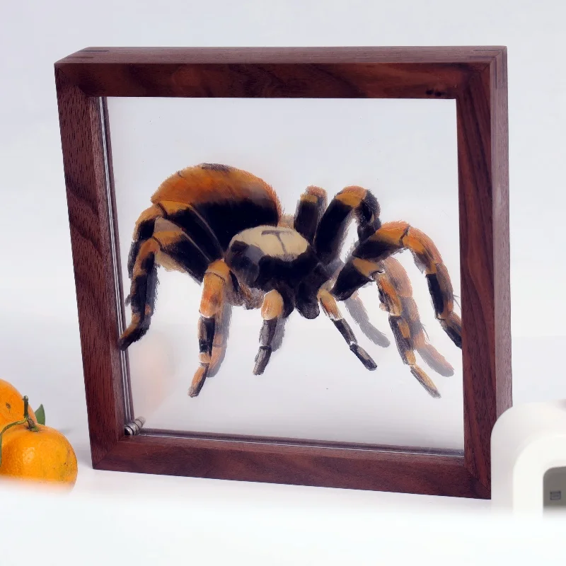 Pet acrylic realistic custom portrait gift picture frame head body layered three-dimensional painting cat portrait