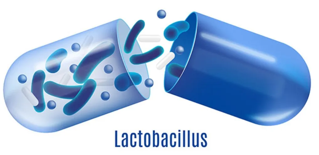 Замороженный бифидобактерии подросткости 100 млрд КОЕ/г