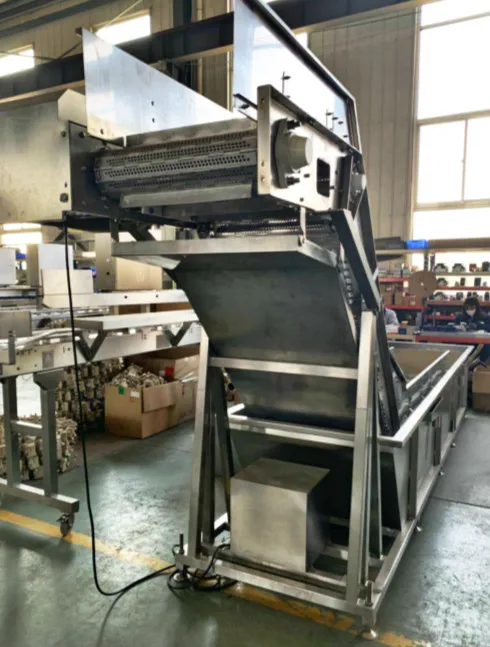 Hot sale fish vegetable washing machine chicken drumsticks cleaning machine for sale