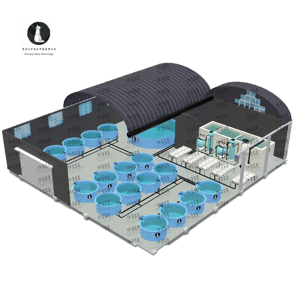 CATAQUA Integrated Modern Fish Shrimp Farm RAS System Recirculating Aquaculture