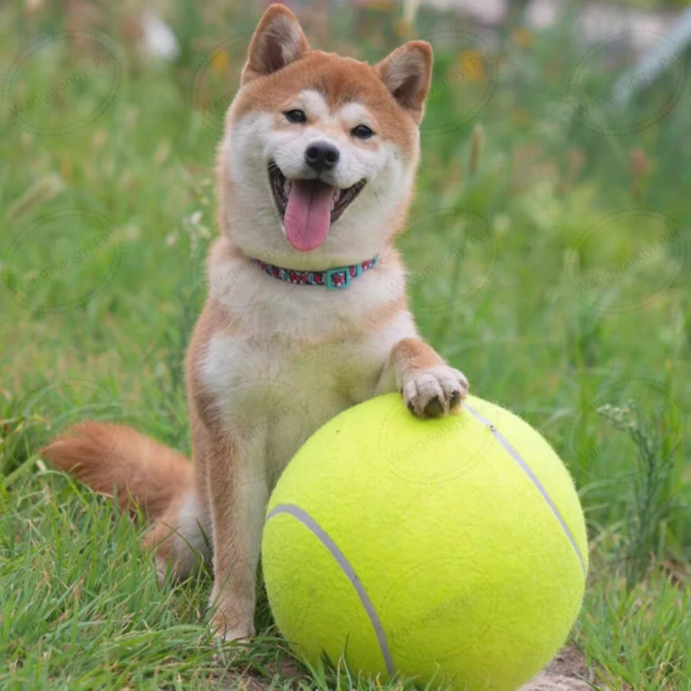 24cm Inflatable Giant Tennis Ball Custom LOGO Mega Jumbo Pet Toy Ball Outdoor Cricket