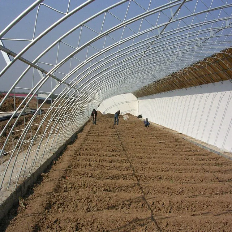 Skyplant Passive Solar Greenhouse Low Cost Passive in-solar greenhouses