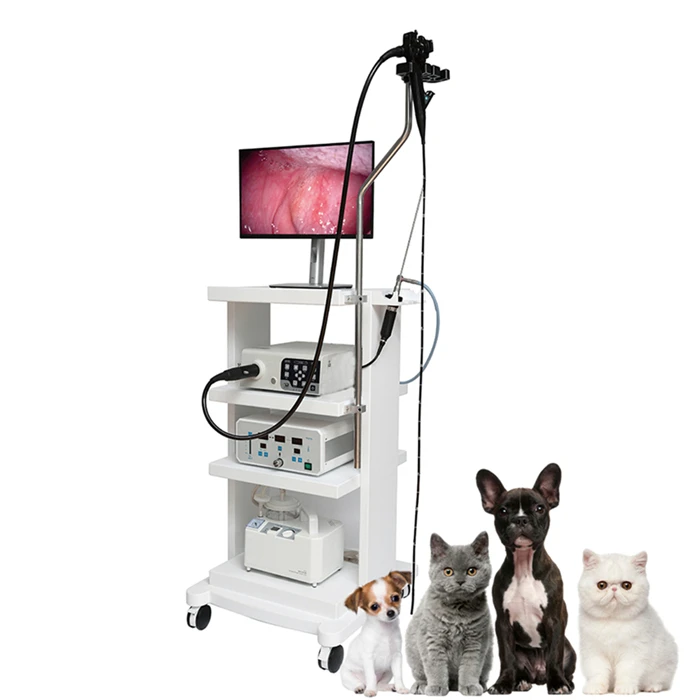 Manufacturer Integrated Camera System High Resolution Veterinary Endoscopy Pet Endoscope