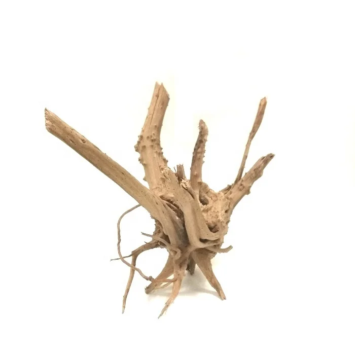 Aquarium Terrarium Landscaping Planted Tank Natural Spider Driftwood