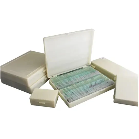 Микроскоп Bacillus subtilis smear приготовленные слайды