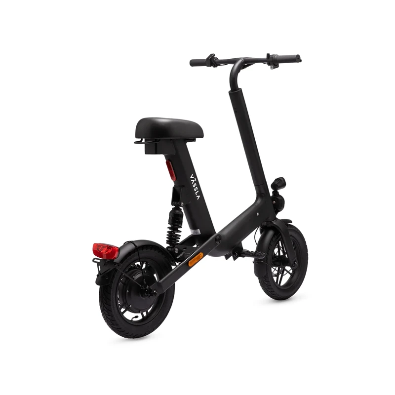 COC passed Sweden design 36V Customized 450 Watt Hub Motor fashion electric cruiser mini scooter