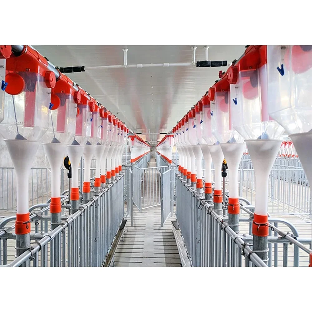 Huge pig farm open style farrowing pen pig farm project