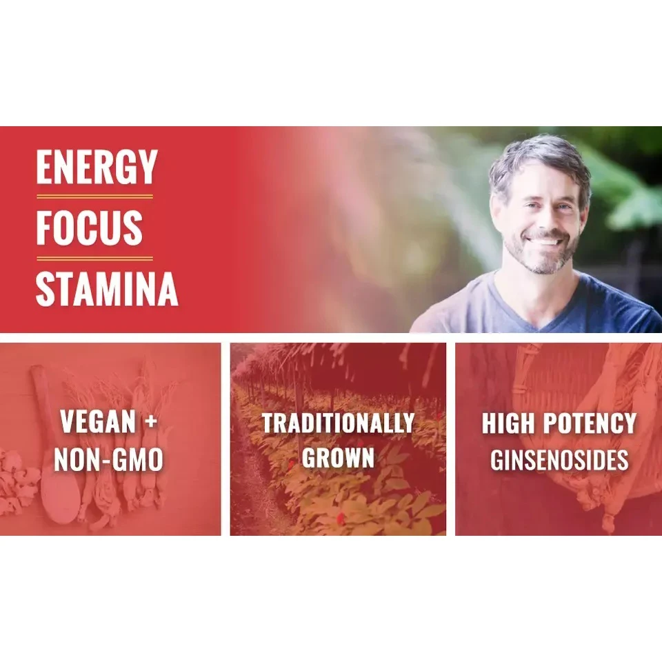 5% женьшеня Ginsenosides Private Label капсулы для повышения энергоэффективности и усилителя мозга