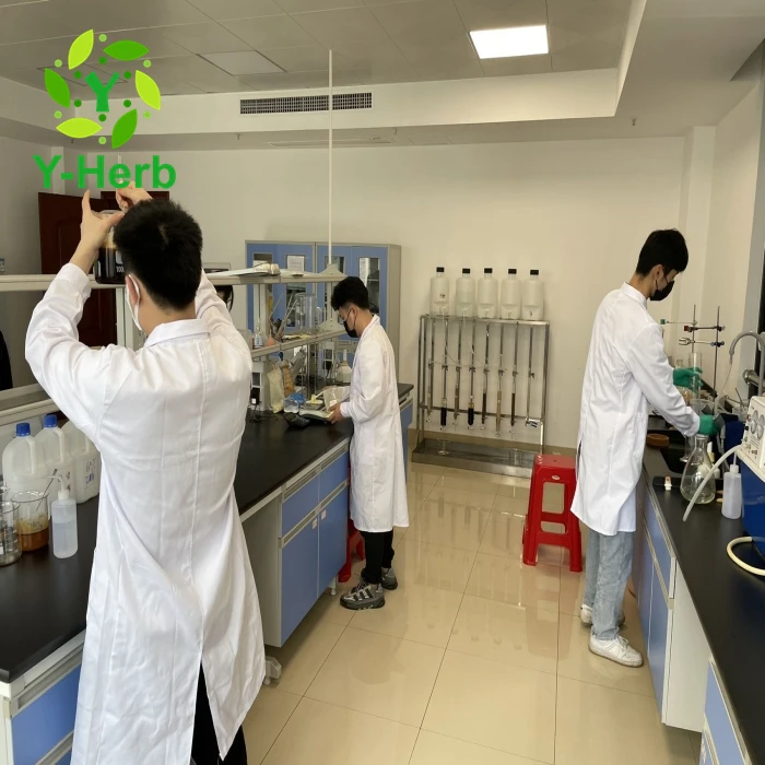 Food Grade Supplements Fava Extract 10:1 Dried Faba Fava Can Dou Powder 90% Broad/Faba/Fava Bean Protein Powder