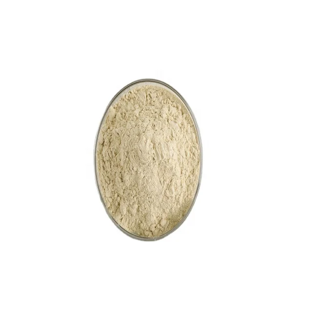 Fe2SO4.H2O Ferrous Sulphate Monohydrate