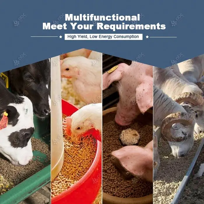 China BEST Poultry Turnkey Animal Cattle Feed Plant for Processing Manufacturing Grass Chicken,Broiler,Cow,Pig,Livestock Fodder