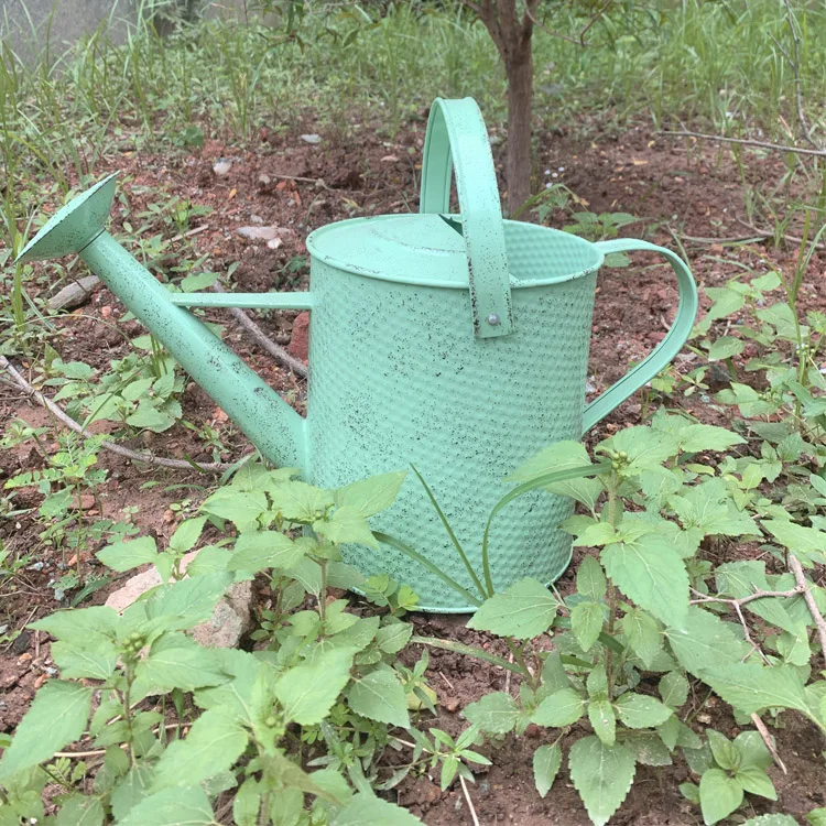 Modern Style Factory Price Promotional Wholesale Metal Garden Pots Watering Can for Outdoor Indoor House Plants