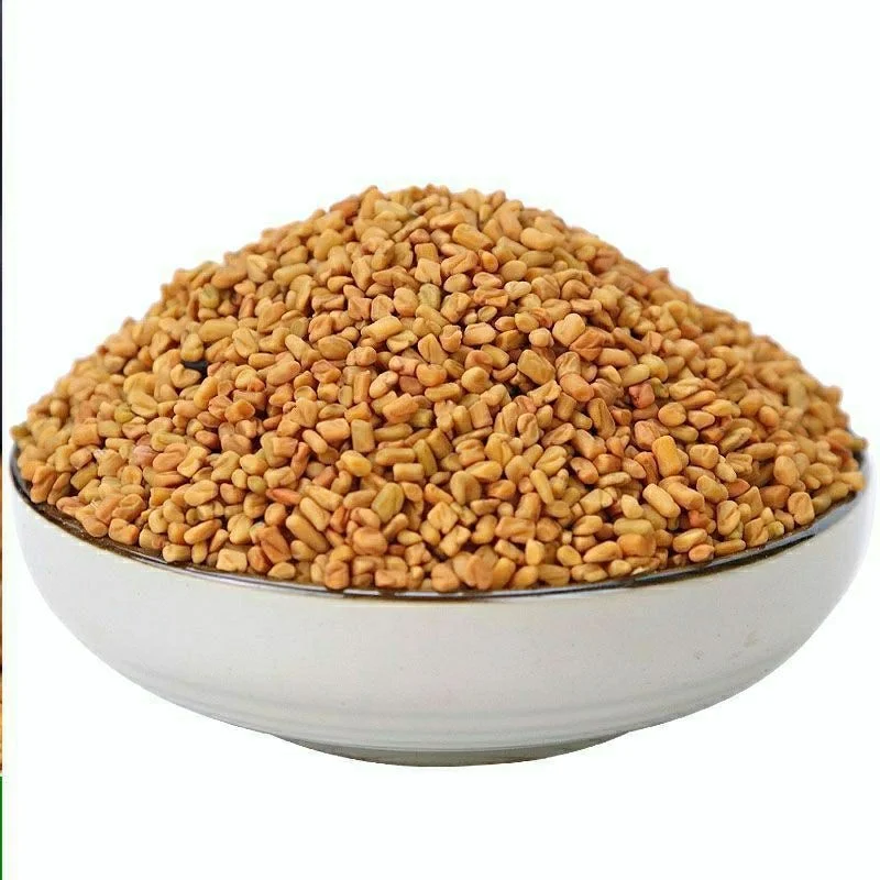 bulk spices Fenugreek Seeds 100% natural Premium Fenugreek Seeds