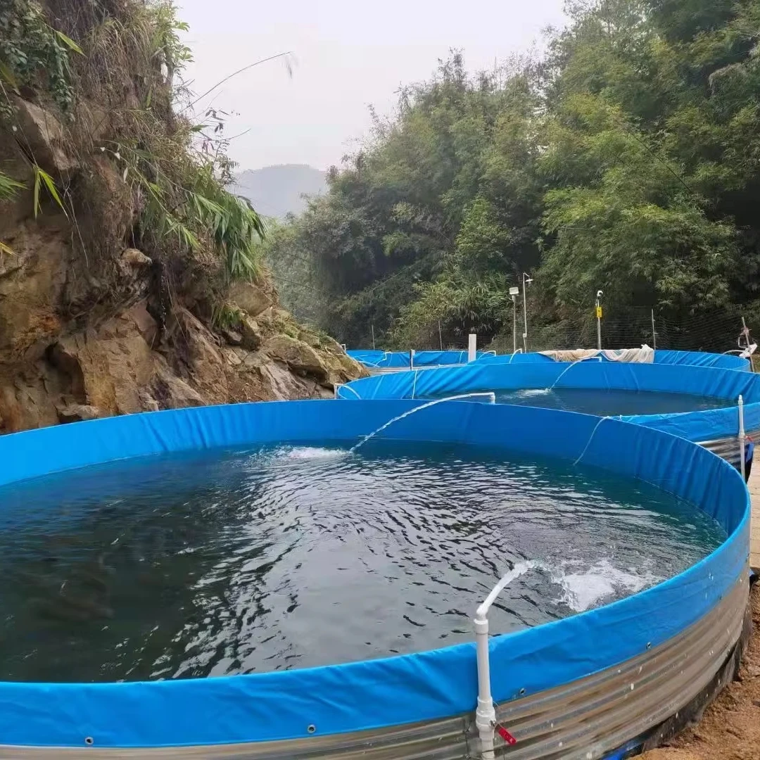 China wholesalers High Quality  Aquaculture Tilapia & Shrimp Ras System  fish farming tank