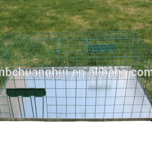 Chuanghui Sell Safe Foldable Pigeon Live Catch Release Animal Trap Cage