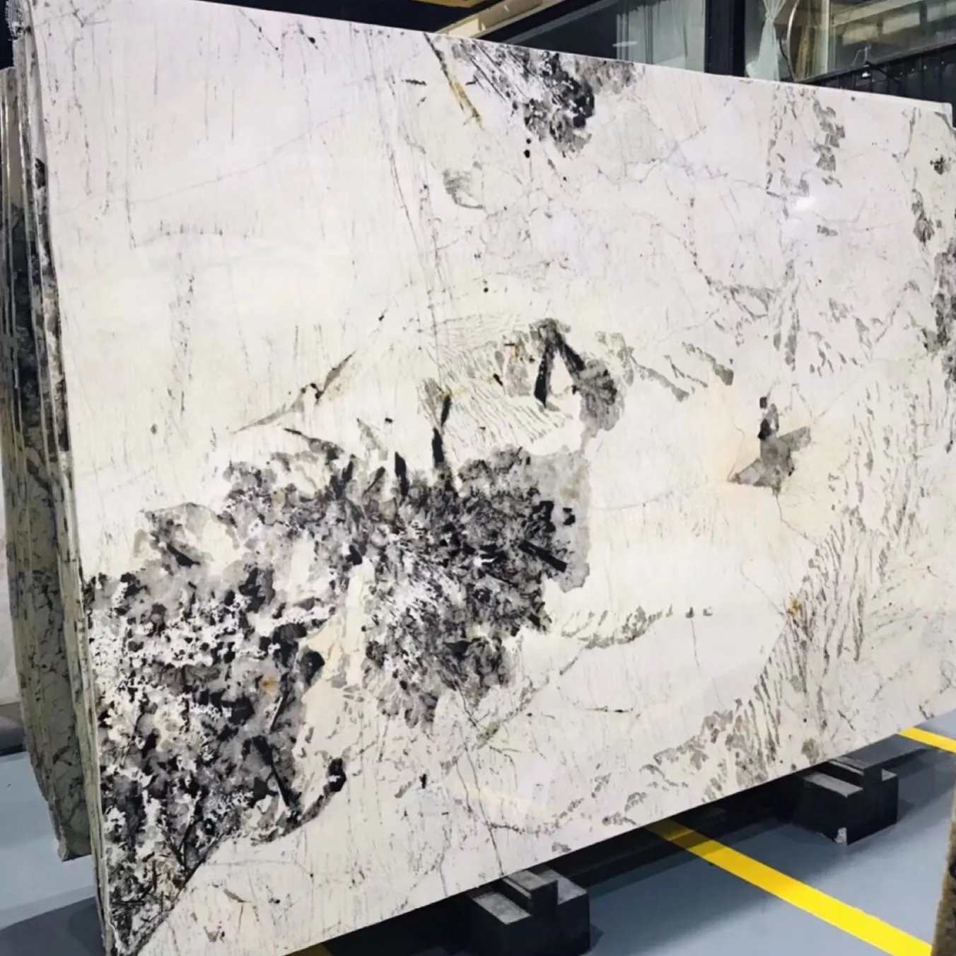 Factory Price Wholesale Interior Decoration Chinese Brazil Natural Alpinus White Marble Slab For Sale Luxury Patagonia