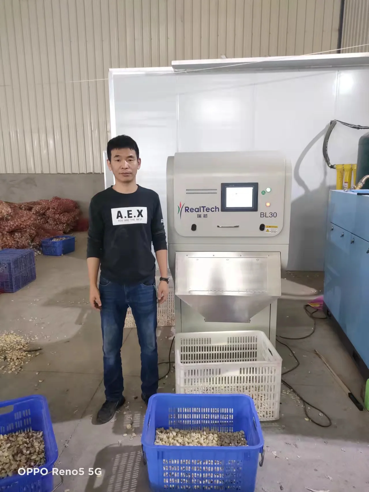 Multi-Purpose Cashew Walnut Hazelnut Color Sorter Garlic Color Sorting Machine