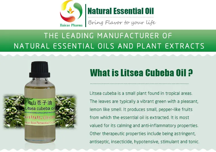 Chinese Traditional Herbal Oil Bulk 1kg Organic May Chang (litsea cubeba) Essential Oil 100% Pure For Aromatherapy