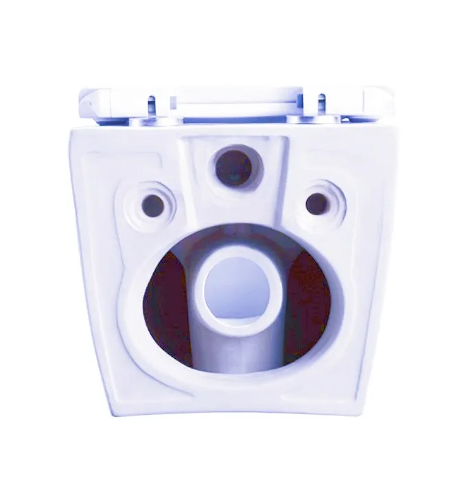 Concealed Cistern Toilet with In-Wall Tank and Carrier System 1.1/1.6 GPF Dual Flush in White Wall Hung Toilet