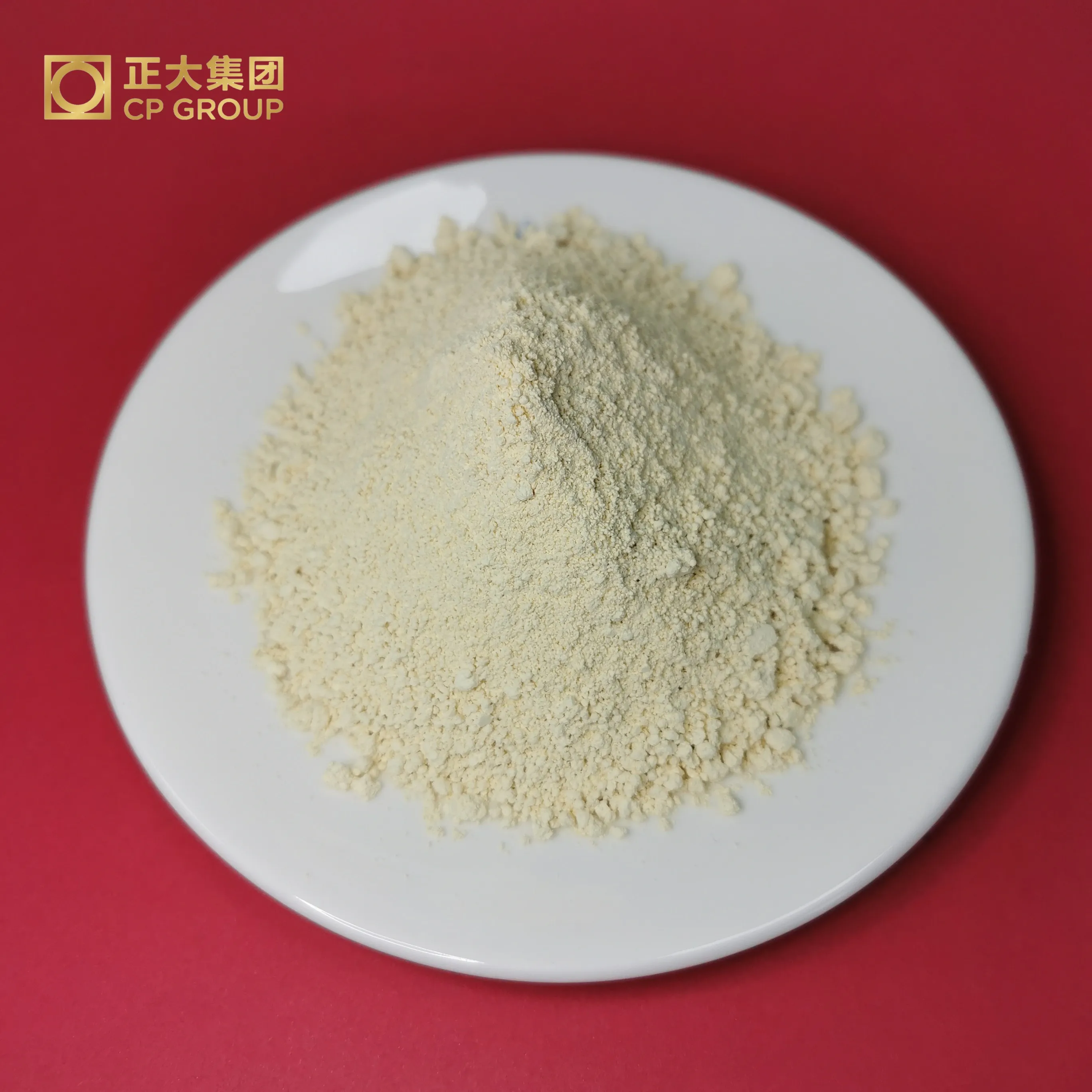 Manufacturer Lactose DSM 95% Natamycin for Juice