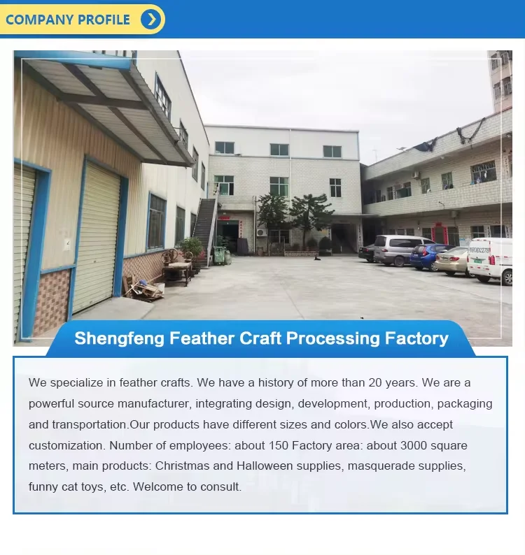 company information.png