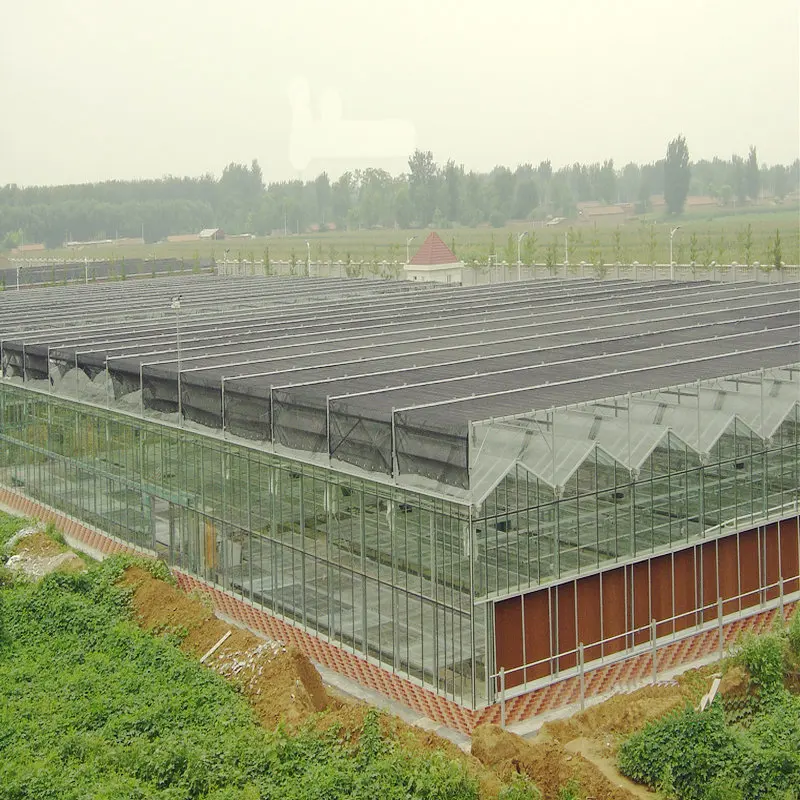Glass vegetables greenhouse steel frame
