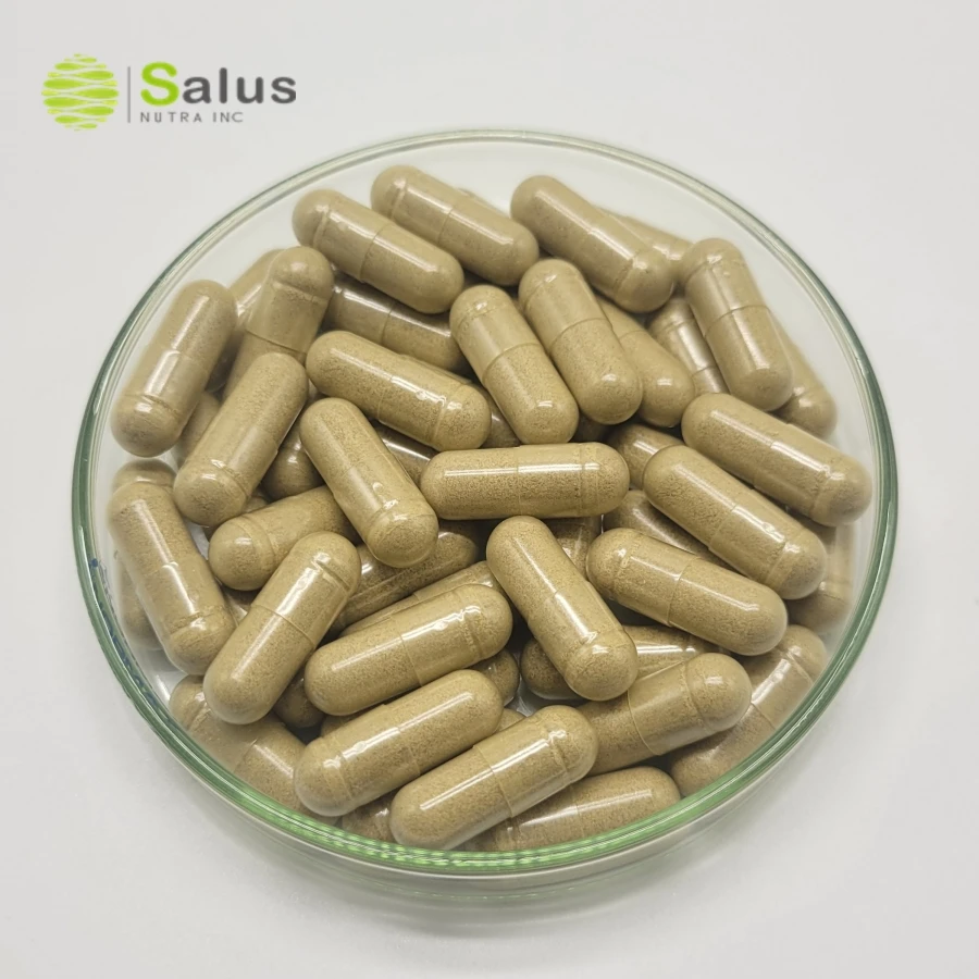 St Johns Wort Capsules Supplement ISO22000 and HALAL Certified Products