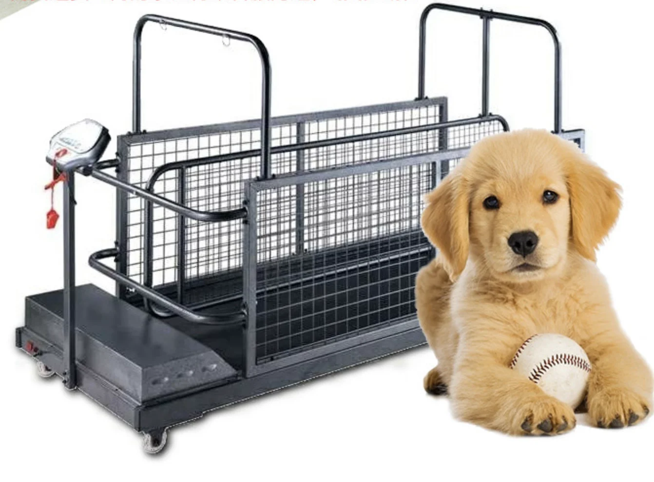 Dog pet low speed rehabilitation treadmill for unweight gait training system