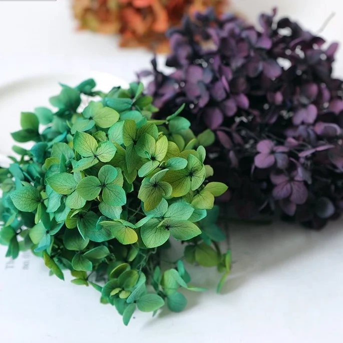 Preserved Hydrangea real touch for home decor bouquet eternal flowers dried flowers