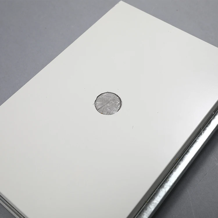 
Clean Room Project Insulated Silicon Rock Sandwich Panel Board for Roof and Wall 