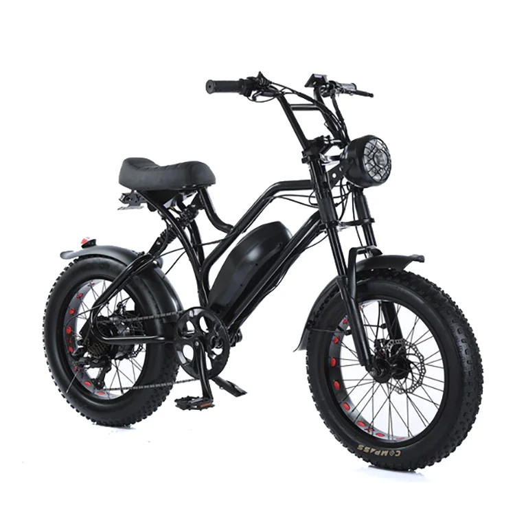 High Carbon Steel Electric Bike with 7-Speed 48v 10Ah Tube Lithium Battery 500w Rear Hub Motor Disc Brake Derailleur