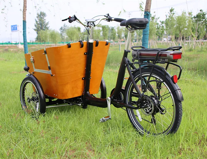 Delivery Ebike Electric Pet Camping Cargo Bike With Rear Motor