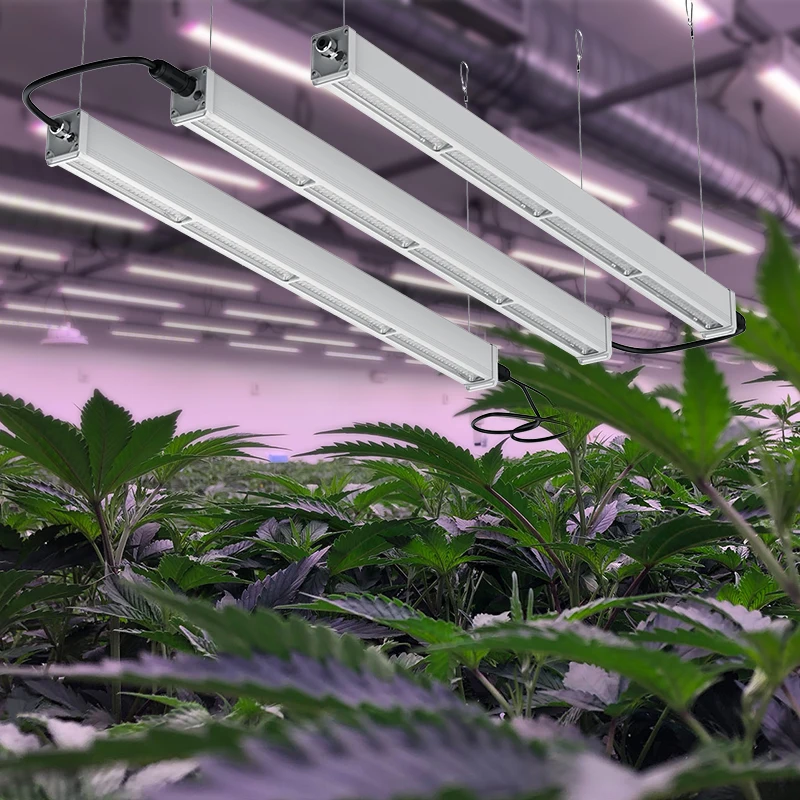 New Design SMD3030 3535 SAMSUNG 301B/H LED 200W full Spectrum plant Led grow light for greenhouse indoor Veg Fruits Grow Lamp