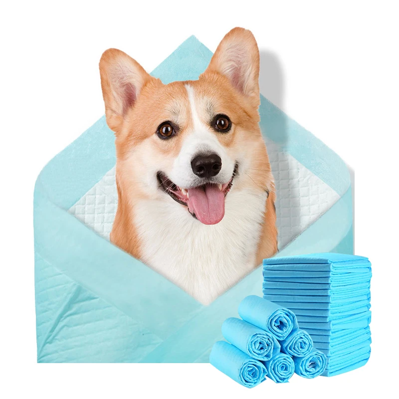 Wholesale China Factory Water Uptake Remove Odor Disposable Pet Training Pad