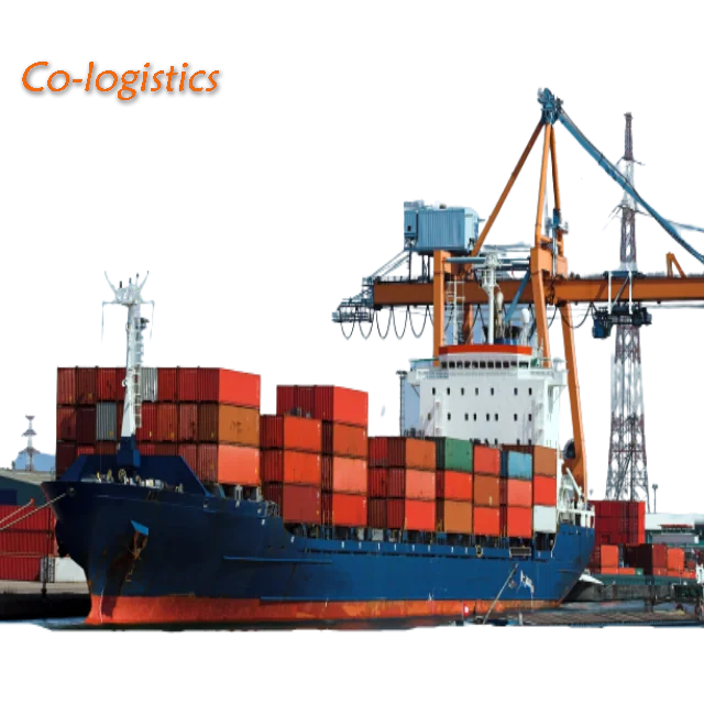 International logistics sea cargo door to door FBA dropshipping delivery to France Shipping agent in Guangzhou China