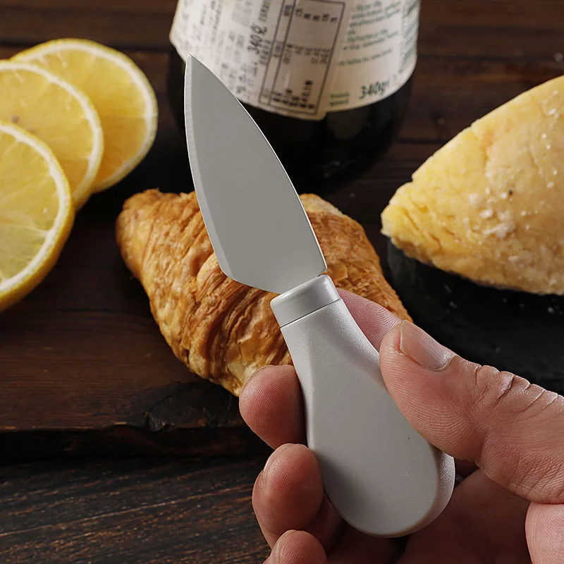 Stainless steel cheese knife most popular mini cheese knife set ABS handle cheese knife set kitchenware gadget deep blue