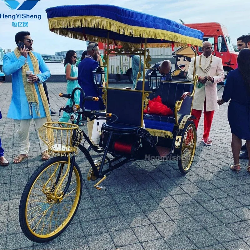 Hot Sale Three wheel Electric Bike Taxi/ Bicycle Rickshaw