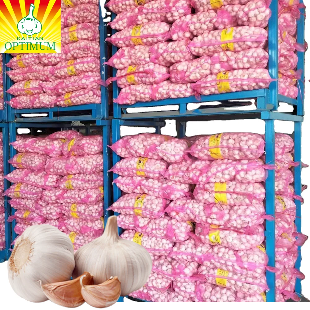 Чеснок g1 оптом новый поставщик свежего чеснока нормальный белый Bawang putih Ajo chino очищенный чеснок машина цена