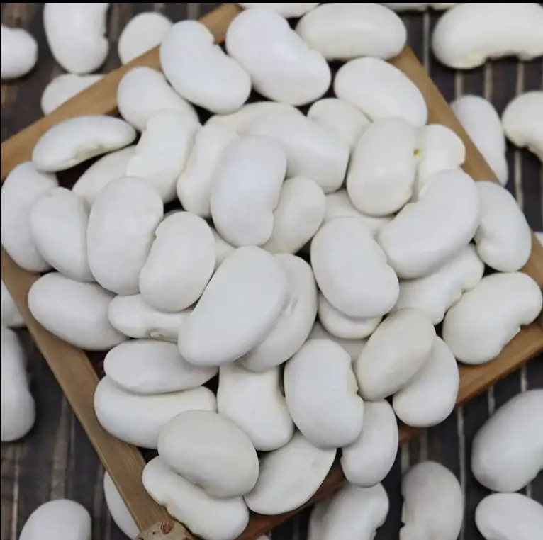Factory Wholesale Weight Management White kidney beans powder 75% protein carbohydrate block amylase 2% phaseolin
