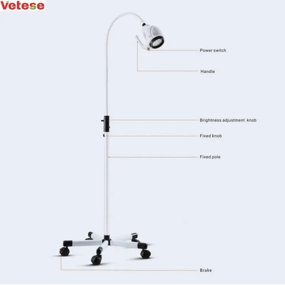 21W Led Dental Micro-plastic General Surgery Gynecological Examination Portable Surgical Lamp