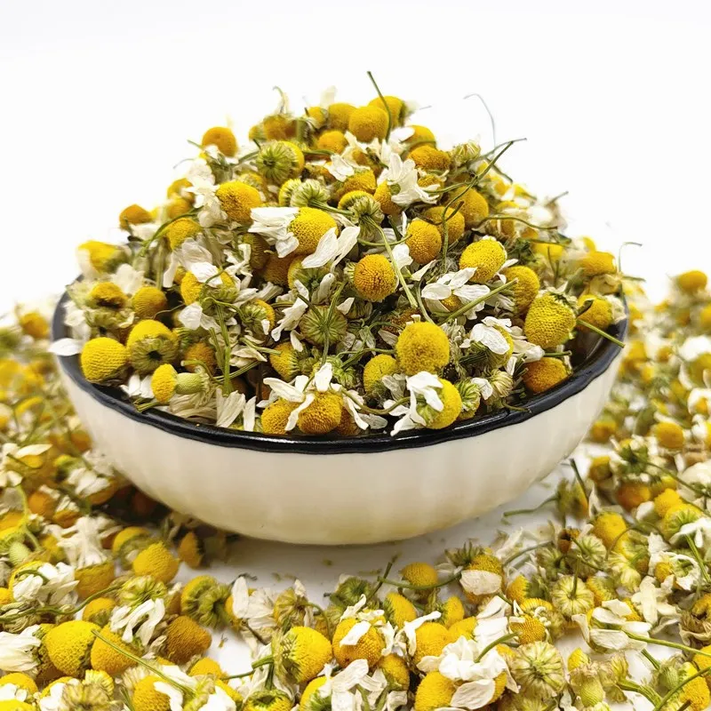 Tai ju Wholesale Price Natural Yellow Chrysanthemum Dried Fragrance Camomile Bud Flower Tea