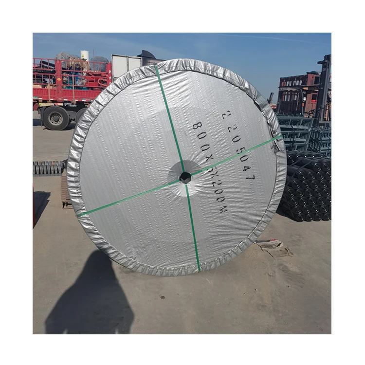 Factory Price Mining Flat Nylon Rubber 800mm*5 6+2 EP High Temperature Resistant Abrasion Conveyor Belt