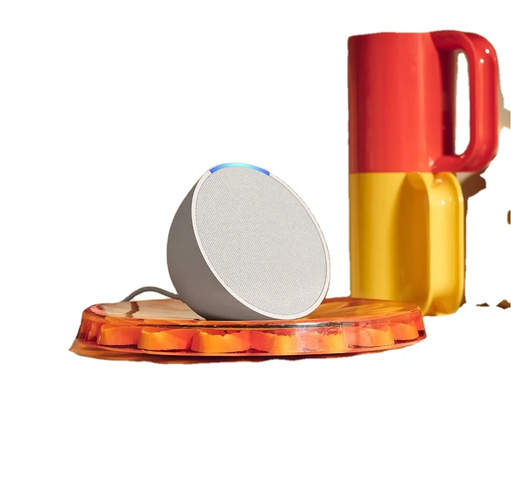 Universal Speaker Wall Bracket Mount for Era100 Google Home Mini Nest Mini Echo dot 3 4 5